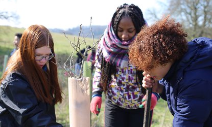 Action for Conservation