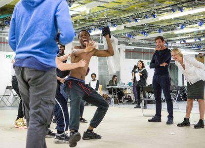 Big House - Phoenix rising.JPG