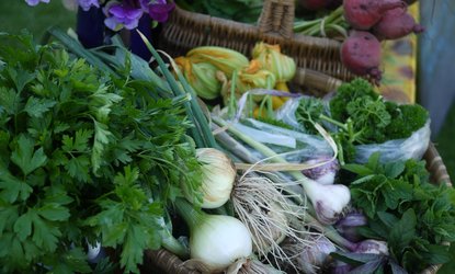 Ecological Land Cooperative