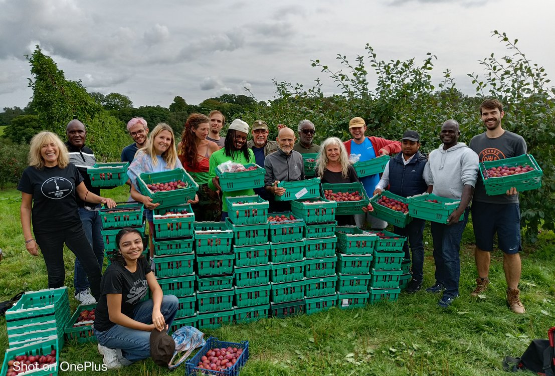Feedback Global-A big group of people stand by a pile of trays full of fruit gathered (1)