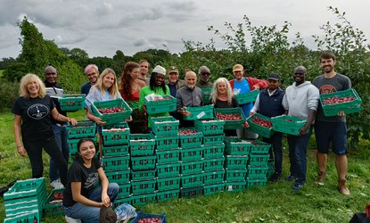 Feedback Global-A big group of people stand by a pile of trays full of fruit gathered (1)