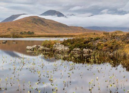 IUCN UK-Rannoch Moor (C) Derek Fergusson.jpg