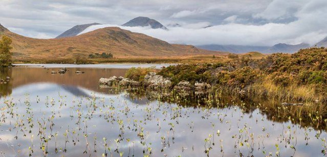 IUCN UK-Rannoch Moor (C) Derek Fergusson.jpg