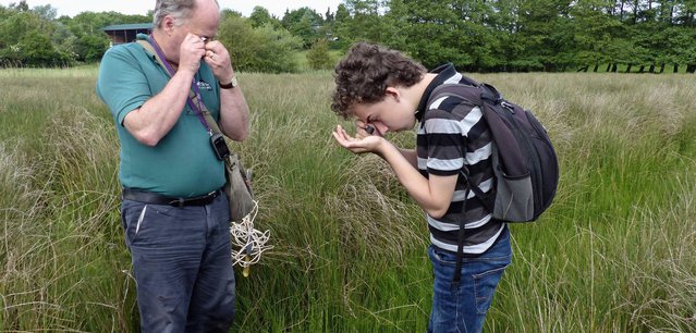 LOHP_Botanising_Credit LOHP-Jo Pitt.jpg