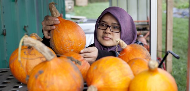 Manchester Veg People