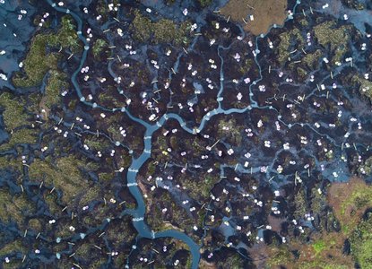 North Pennines-AONB-restoration_colour-ALo-e1585843411133-1024x767.jpg
