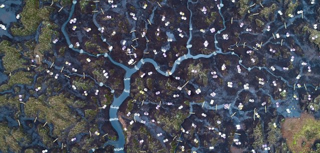 North Pennines-AONB-restoration_colour-ALo-e1585843411133-1024x767.jpg