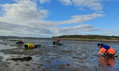 Cumbria Wildlife Trust: Seagrass seed collection