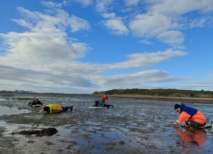 Cumbria Wildlife Trust: Seagrass seed collection