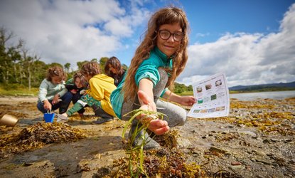 Commuity mointoring Credit Seawilding