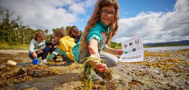 Commuity mointoring Credit Seawilding