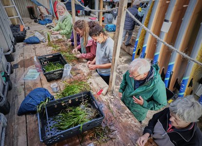 Seagrass restoration volunteers Credit Seawilding