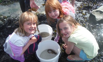 Yorkshire Wildlife Trust.jpeg