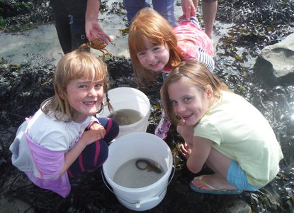 Yorkshire Wildlife Trust.jpeg