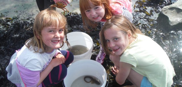 Yorkshire Wildlife Trust.jpeg