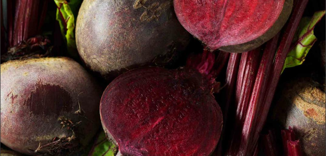 RSA Our Common Ground