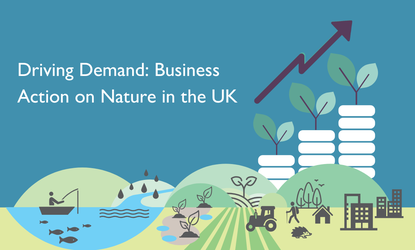 Image and Text block