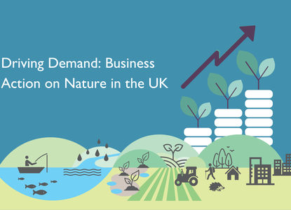 Image and Text block