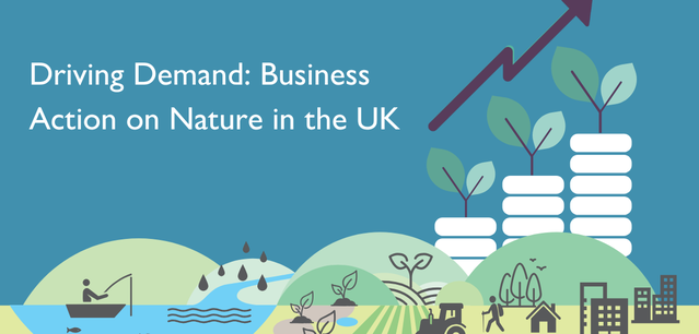 Image and Text block