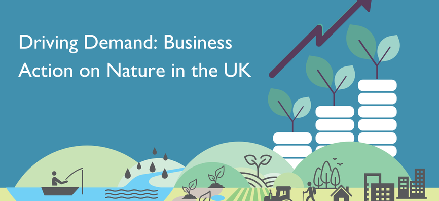 Image and Text block