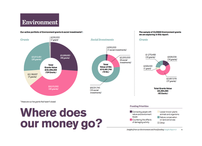 Insights from our Environment and Food funding