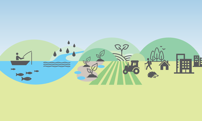 Our Natural World-roadmap.png