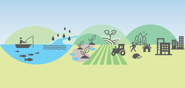 Our Natural World-roadmap.png