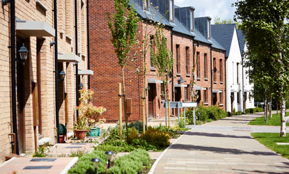 Row of houses along a tree-lined path