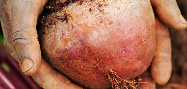 RSA Food, Farming and Countryside Commission