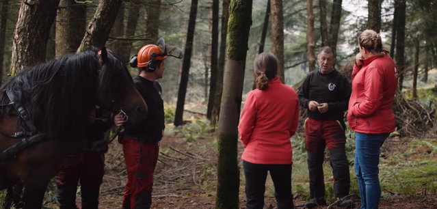Woodland Trust-Smithills Estate-discussing forestry