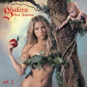Cover art for Hips Don't Lie (feat. Wyclef Jean) — Shakira
