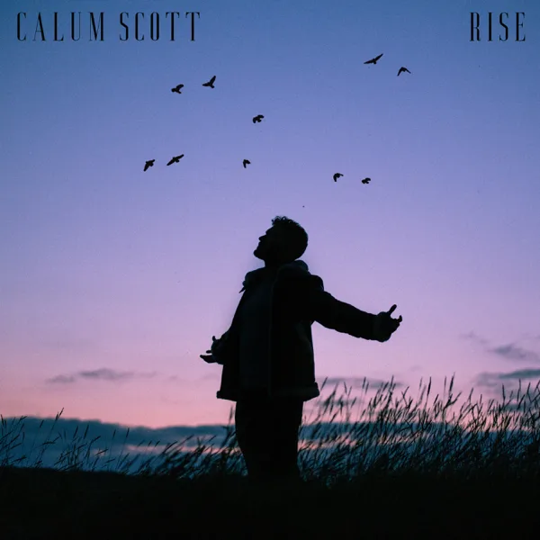 Cover art for Rise — Calum Scott
